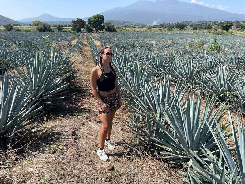 Tequila and Cantaritos Tour from Guadalajara - Leaving Guadalajara for Jalisco’s tequila country