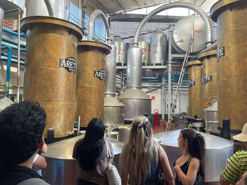 Tequila and Cantaritos Tour from Guadalajara - Tequila town, the giant swing, and blue agave views
