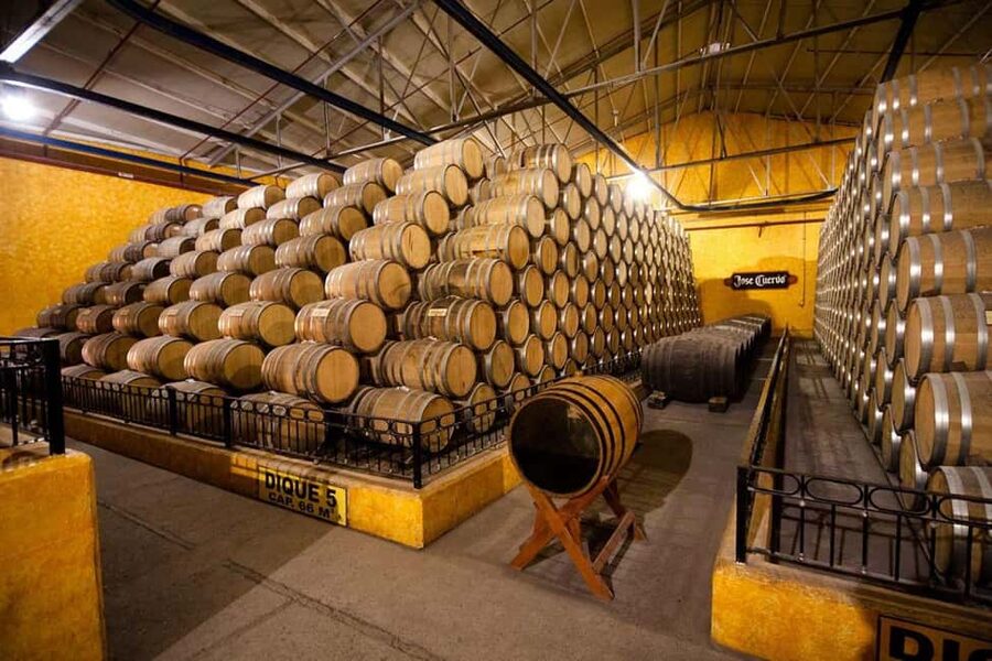 Tequila and Cantaritos Tour from Guadalajara - Who will enjoy this Tequila tour most?