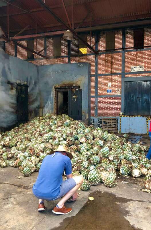 Tequila and Guachimontones: Private Full Day Tour - Who should book this tour