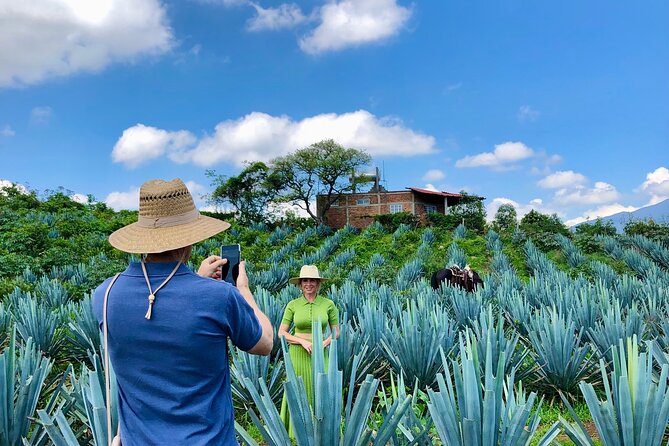 Tequila and Guachimontones: Private Full Day Tour - Guachimontones and its circular pyramids