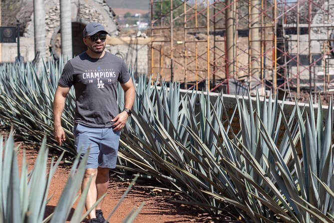 Tequila Day Trip - Cava de Oro: where agave becomes tequila