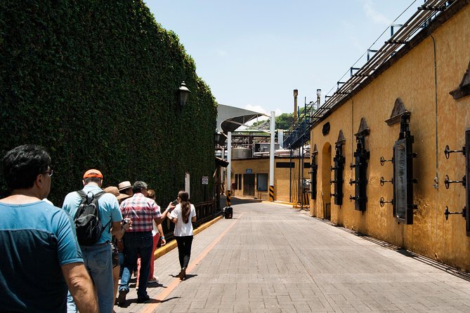 Tequila distillery experience, Jose Cuervo & Tequila Magic Town - Two hours to eat and explore Tequila