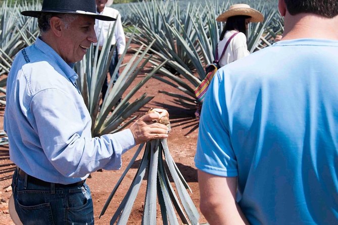 Tequila distillery experience, Jose Cuervo & Tequila Magic Town - Who will enjoy this tequila day trip