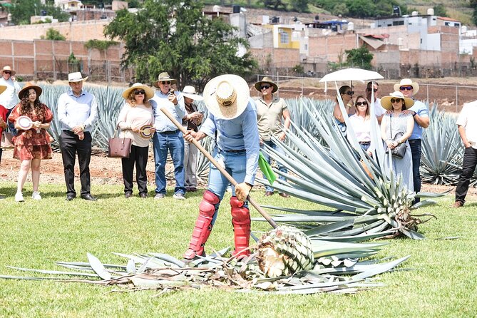Tequila Express Round Trip by Train - The train ride from Guadalajara