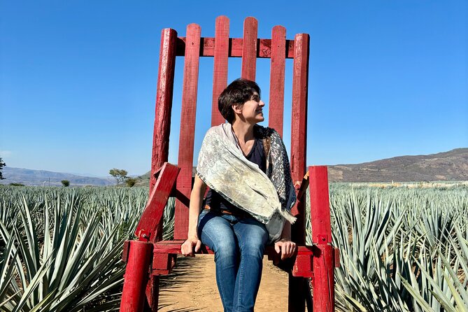 Tequila/Guachimontones route cultural heritage in private - From agave field to bottle at Tequila Tres Mujeres