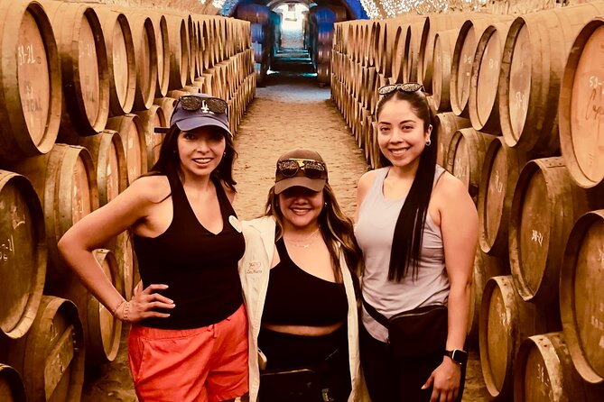 Tequila/Guachimontones route cultural heritage in private - What makes Guachimontones worth the detour