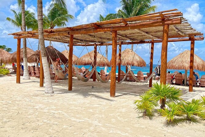 Tequila History and Tasting Experience and Unlimited Beach Break - Should you book the tequila and beach break?