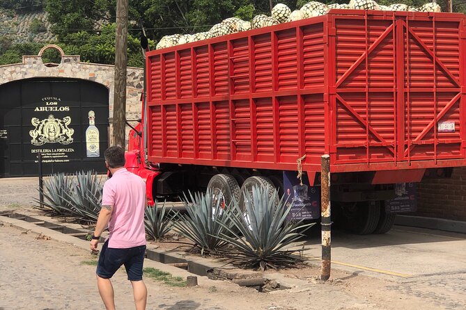 Tequila Jalisco Full Day Tour from Puerto Vallarta - Tequila town in 45 focused minutes