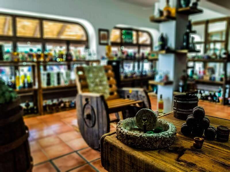 Tequila & Mezcal Tasting Experience - Key points to know before you go
