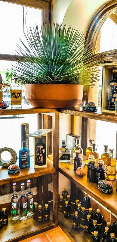 Tequila & Mezcal Tasting Experience - Who will enjoy this tasting most