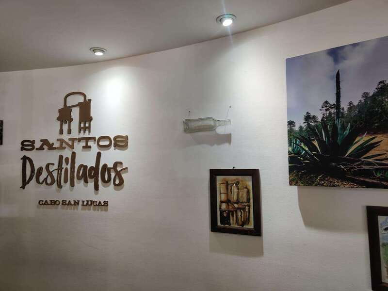 Tequila & Mezcal Tasting Experience - My call: a good-value Cabo activity with one booking check