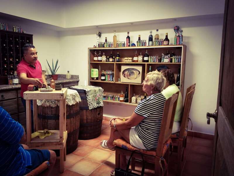 Tequila & Mezcal Tasting Experience - How the tequila and mezcal lesson unfolds