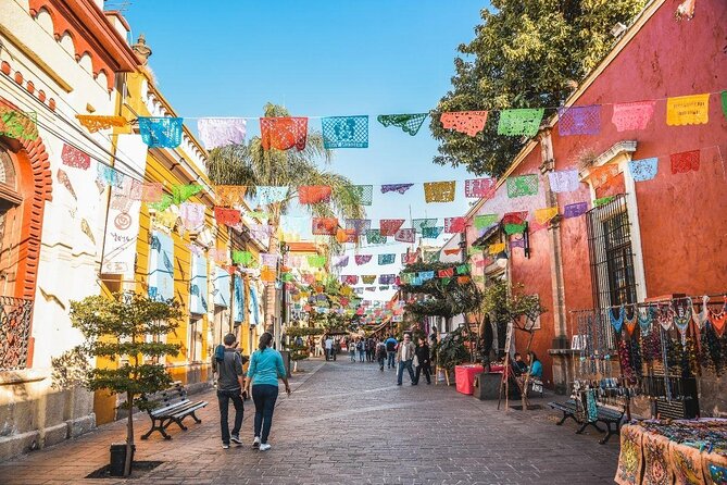Tequila Premium Tour Destination Agave - Quick take: what makes this tour worth considering