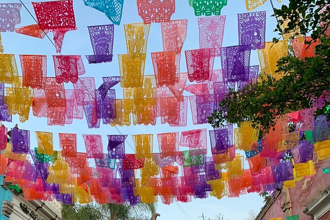 Tequila Premium Tour Destination Agave - Two hours in the Magic Town of Tequila