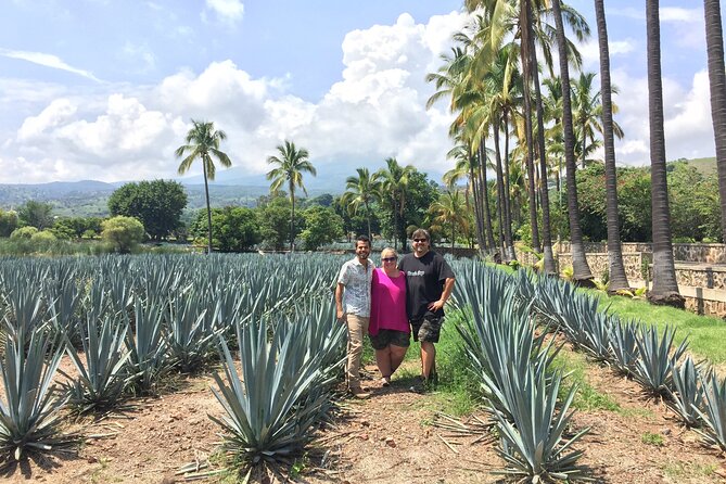 Tequila: Private Half-Day Tour - Lunch, market food, and tequila cocktails