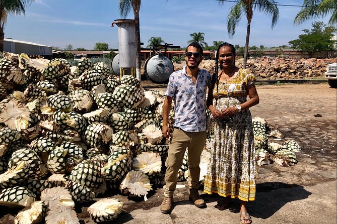 Tequila: Private Half-Day Tour - The agave fields and the Tequila Volcano