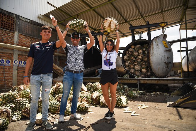 Tequila Route Experience from Guadalajara - Learning tequila at the artisanal distillery