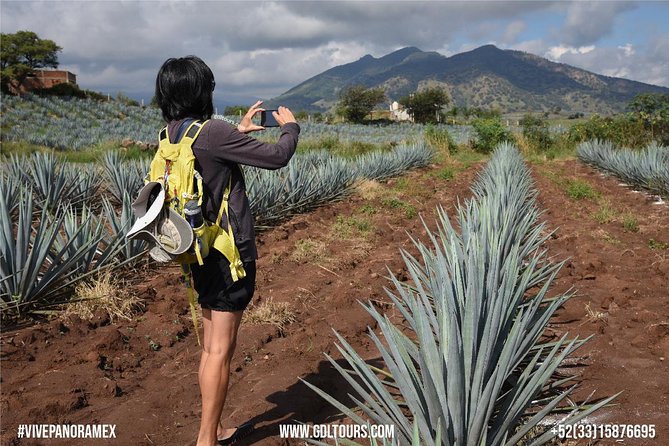 Tequila Route Experience from Guadalajara - El Arenal and the road into tequila country