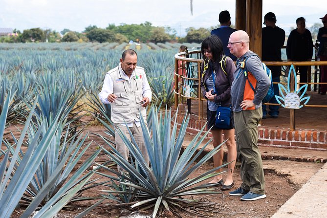 Tequila Route Experience from Guadalajara - Free time in the town of Tequila