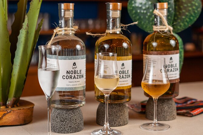 Tequila Tasting and Mixology Experience in Cancun - A short Cancun activity with a clear purpose