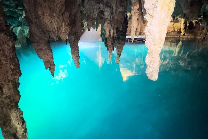 Tequila Tasting, Cenote, Horseback Riding, ATV, Ziplines & Lunch - Service and the people leading the day