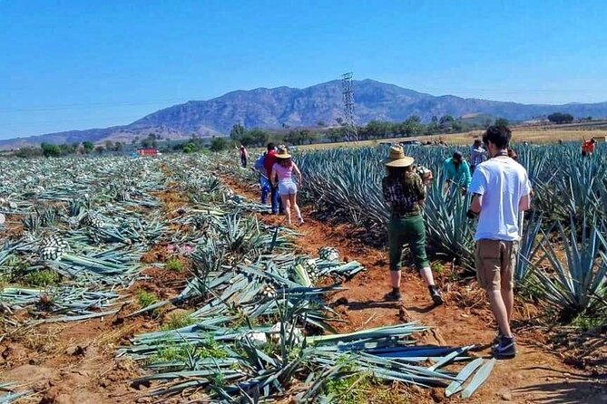 Tequila Tour - Tasting the line at Tequila Don Valente