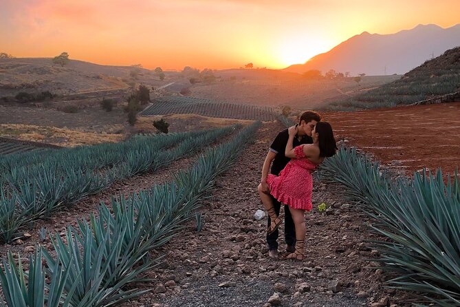 Tequila tour with tasting. - Starting at Calzada Lázaro Cárdenas in Guadalajara