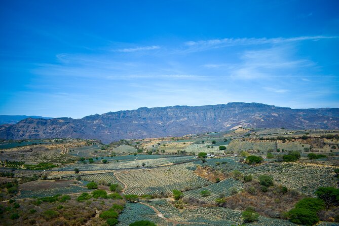 Tequila tour with tasting. - What the $80 price really covers