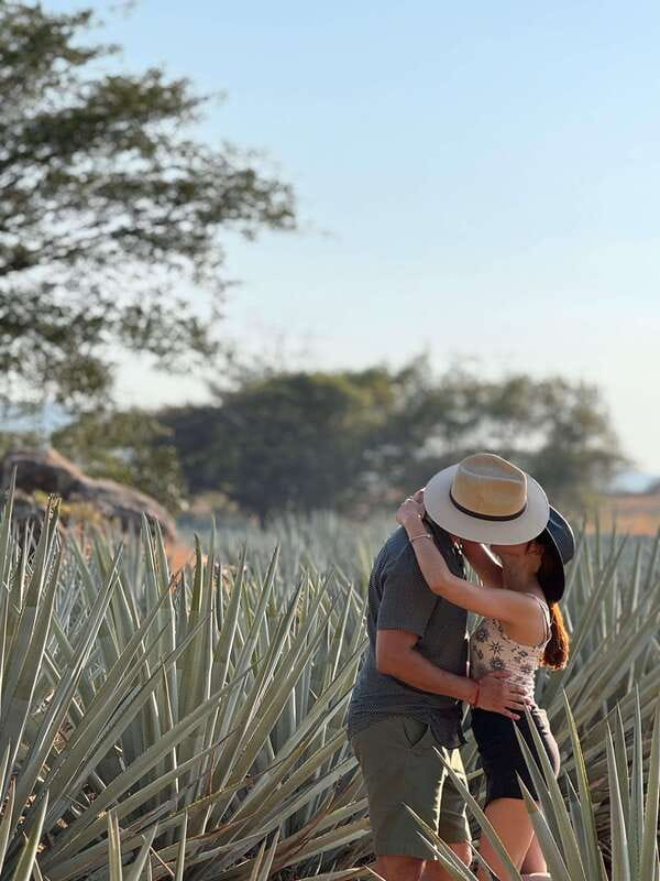 Tequila: Town and Distillery Guided Tour with Tastings - Key things to know before booking