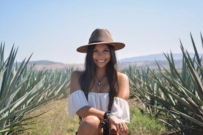 Blue agave in cut rows above the town of Tequila, Jalisco