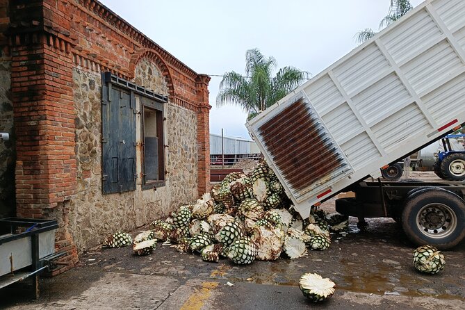 The Fire TOUR - Pyramids, Volcanoes, Agaves & Tequila - Transport, Group Size, and the Long Day