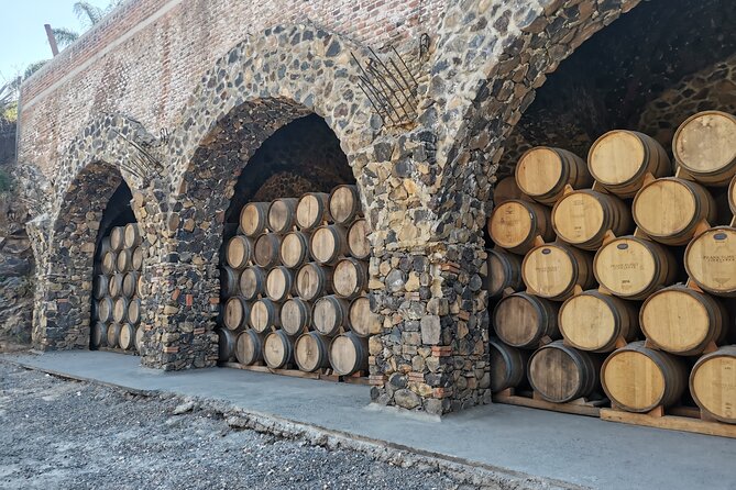 The Fire TOUR - Pyramids, Volcanoes, Agaves & Tequila - Who Will Enjoy This Tour Most