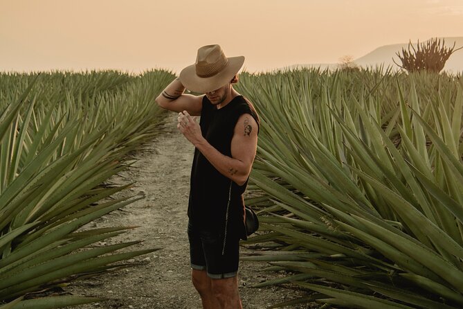 The Mezcal Journey - Key points to know before you book