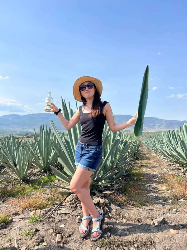 The Mezcal Journey - Who should book the Mezcal Journey
