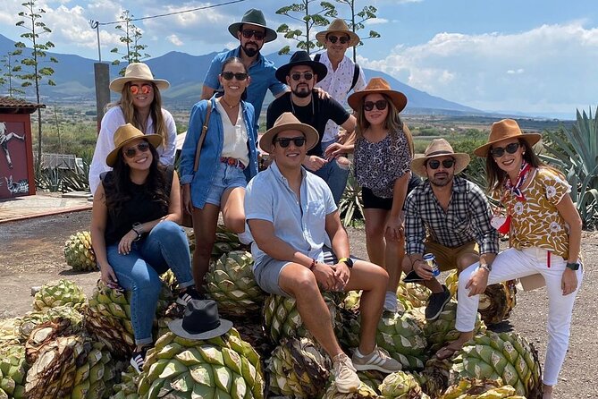 The Mezcal Journey - Why this Oaxaca mezcal tour is worth considering