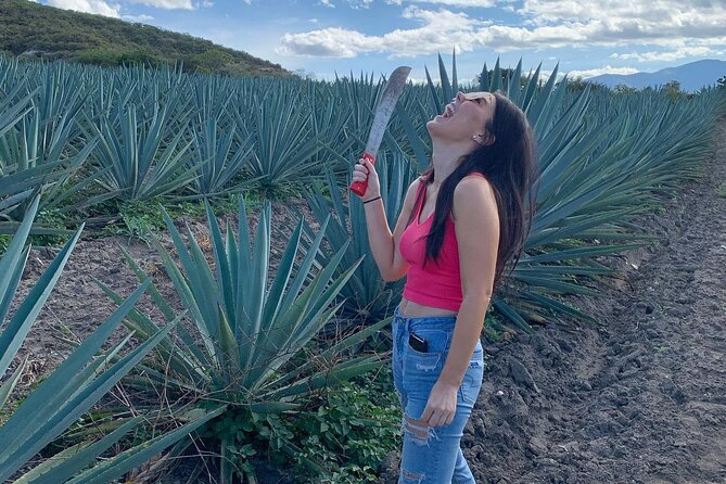 The Mezcal Journey - Seeing artisanal mezcal production up close