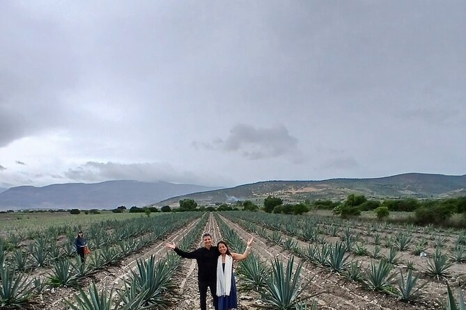 The Mezcal Tour - What You Get for $71.81