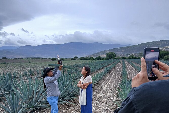 The Mezcal Tour - Timing, Meeting Point, and Practical Comfort