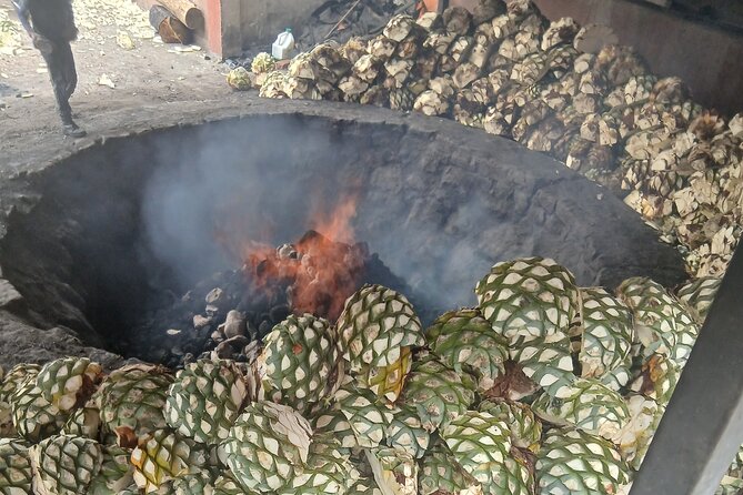 The Mezcal Tour - Booking and Cancellation Advice