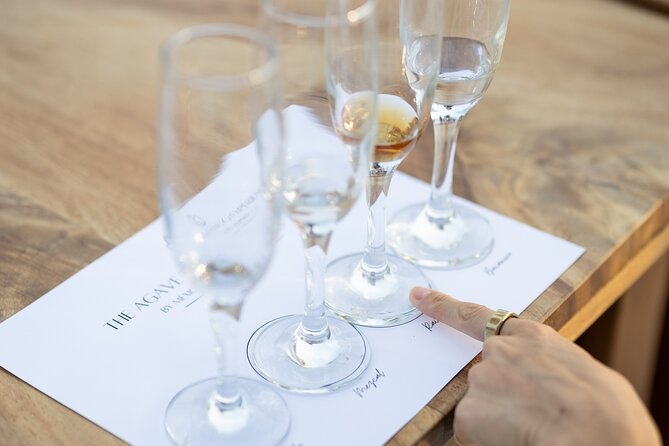 The Ultimate Agave Tasting with Tequila, Mezcal & more! - Four agave spirits in one Bucerías tasting