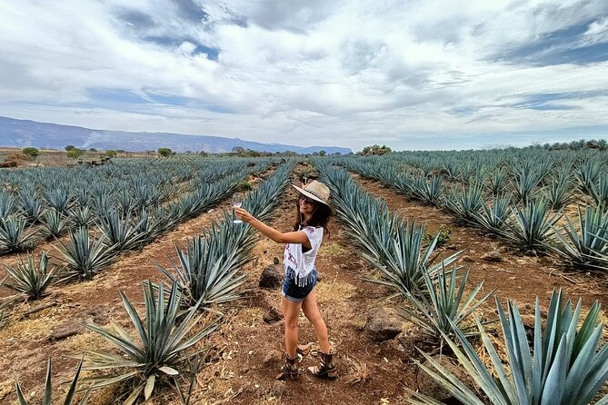 The Ultimate Tequila Experience: from Agave Field to Glass - Inside El Tequileño’s nearly 70-year-old distillery