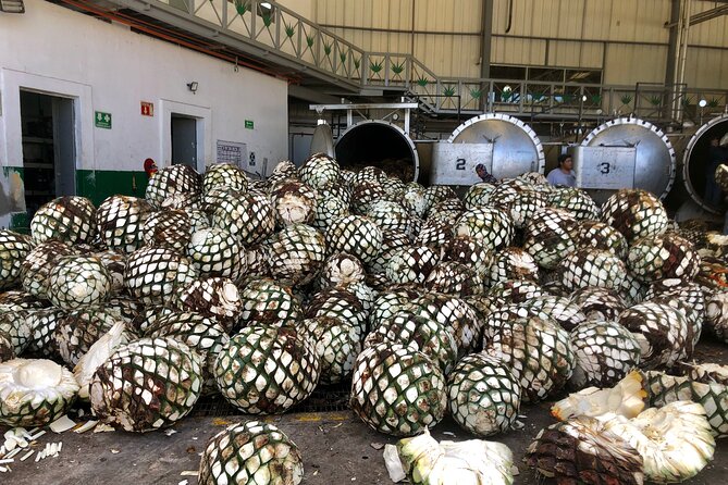 The Ultimate Tequila Experience: from Agave Field to Glass - Who will get the most from this day