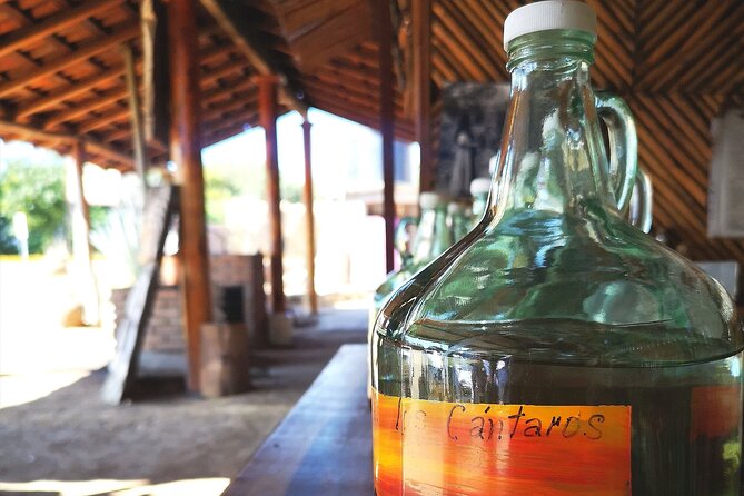 Tour Los Caminos del Mezcal Café and Pedal Loom Factory - Key points to know
