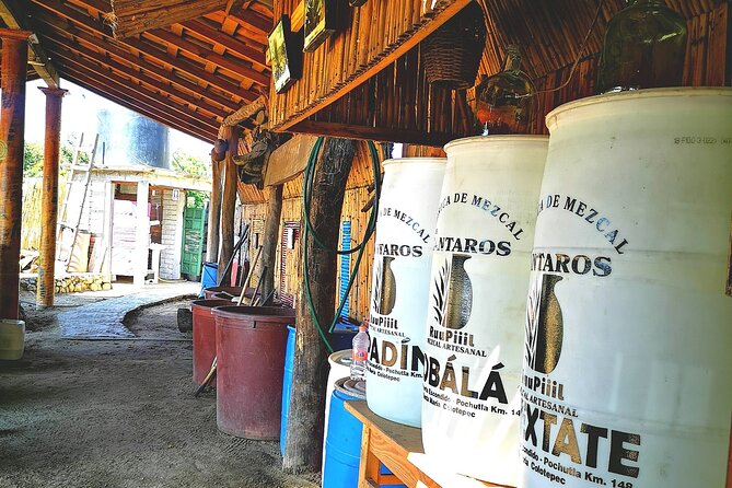 Tour Los Caminos del Mezcal Café and Pedal Loom Factory - Manteleria Santo Domingo and the pedal loom tradition