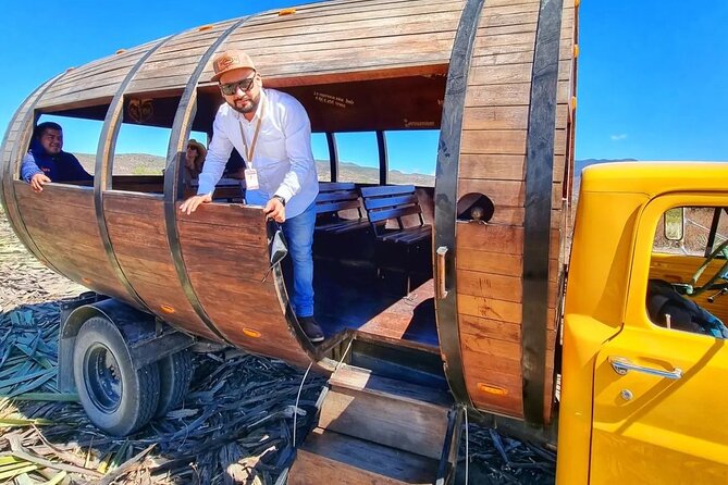 Tour Monte Albán, Hierve el agua, Teotitlán Del Valle and Mezcal - Teotitlán del Valle: watch wool become art