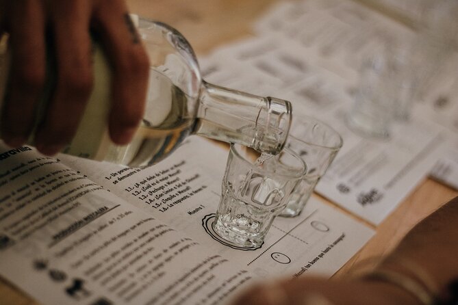 Tour of Mezcalerias in the City - A passing look at Oaxaca’s market spaces