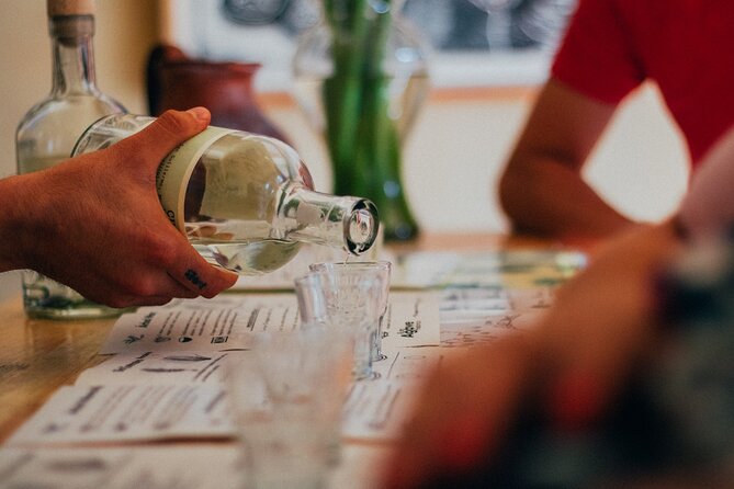 Tour of Mezcalerias in the City - Finishing at Etnofood with food and mezcal