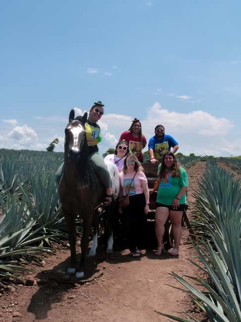 Tour Tequila Loreta Travel&Tour - Should you book Loreta Travel?