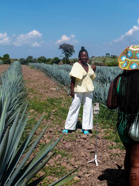 Tour Tequila Loreta Travel&Tour - A full day from Guadalajara to Tequila